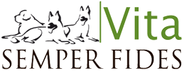 cropped-Logo-SFV-2-copia